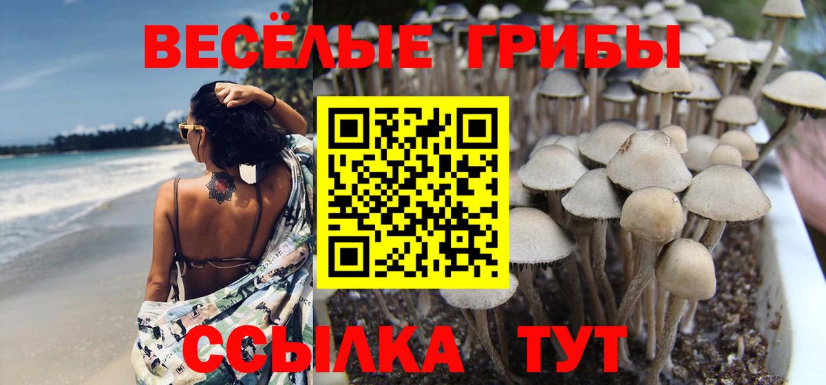Орёл  Галлюциногенные грибы мицелий  Вход с VPN 