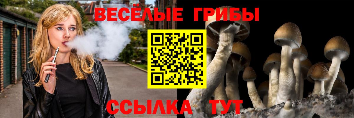 Псилоцибиновые грибы ЛСД Орёл